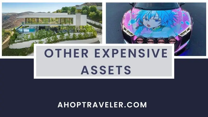 Other Expensive Assets